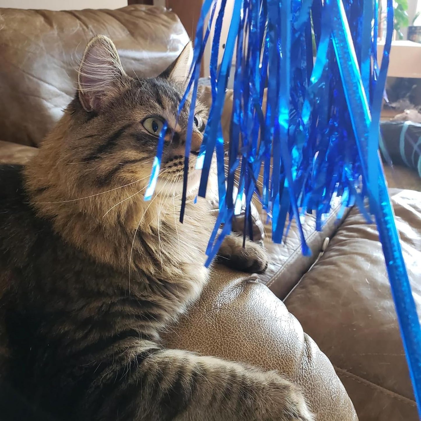 Interactive Cat Teaser Wand Toy with Tassels - Durable Cat Chaser for Indoor Kitten Exercise, Boredom Relief & Training Play, Pack of 3 (Gold, Silver, Green)