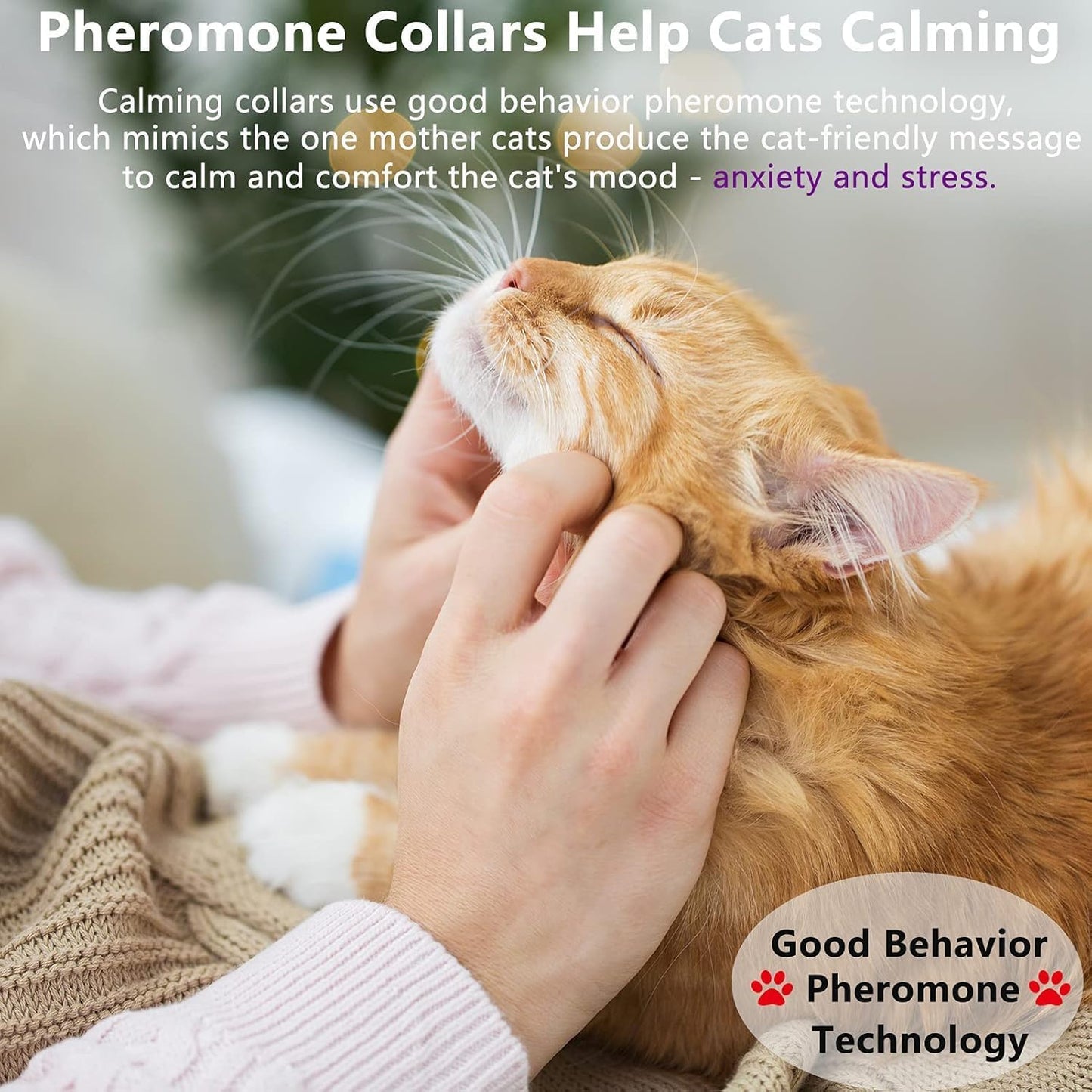 Cat Calming Collars 3 Pack, Pheromone Calming Collar for Cats, Natural, Adjustable, Waterproof Relieve Cat Anxiety Collar, Kitten Pheromone Collars for 60 Days Safe Use (Purple)