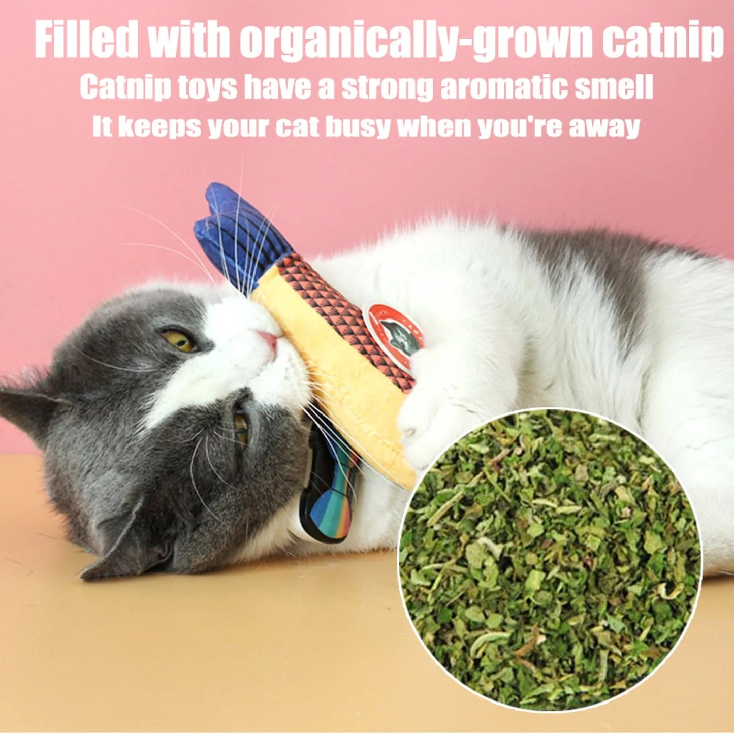Cats Catnip Toys, Realistic Fish Interactive Toys for Kitty Pets