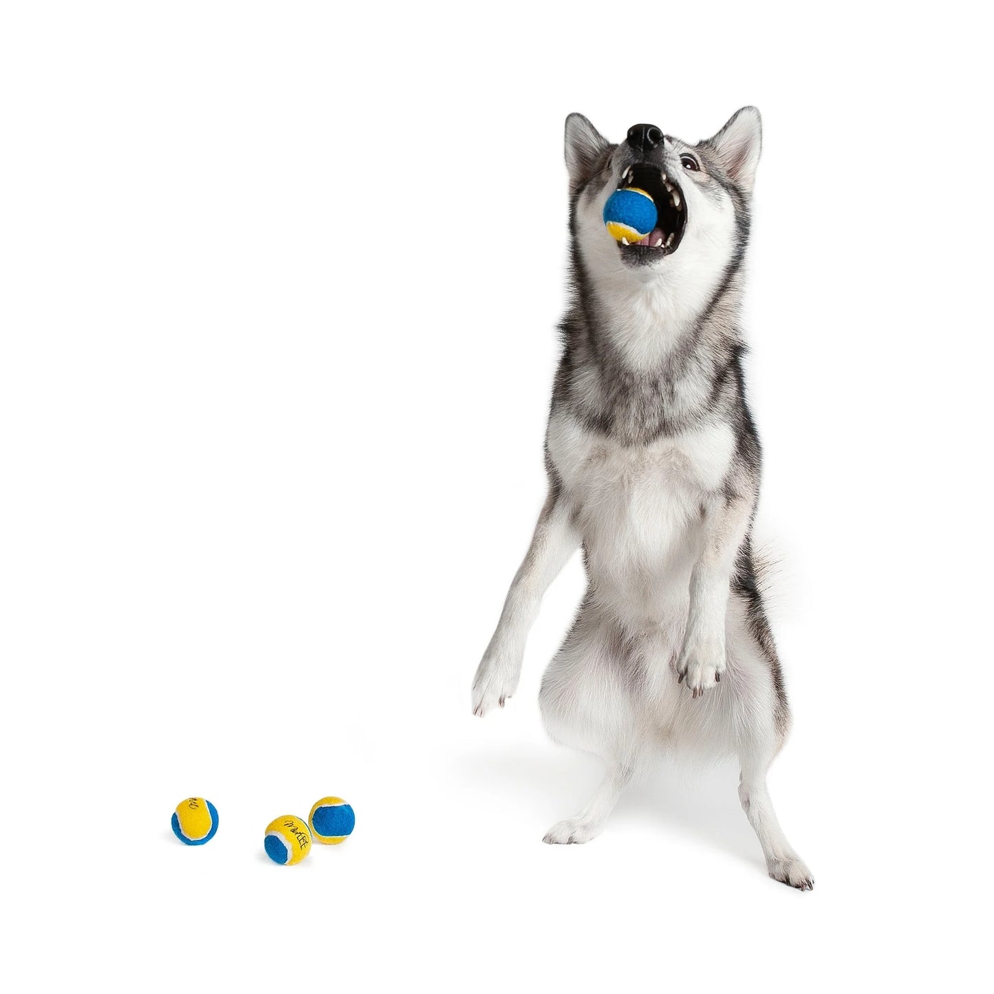 Mini Dog Tennis Balls - Blue/Yellow- Pack of 4