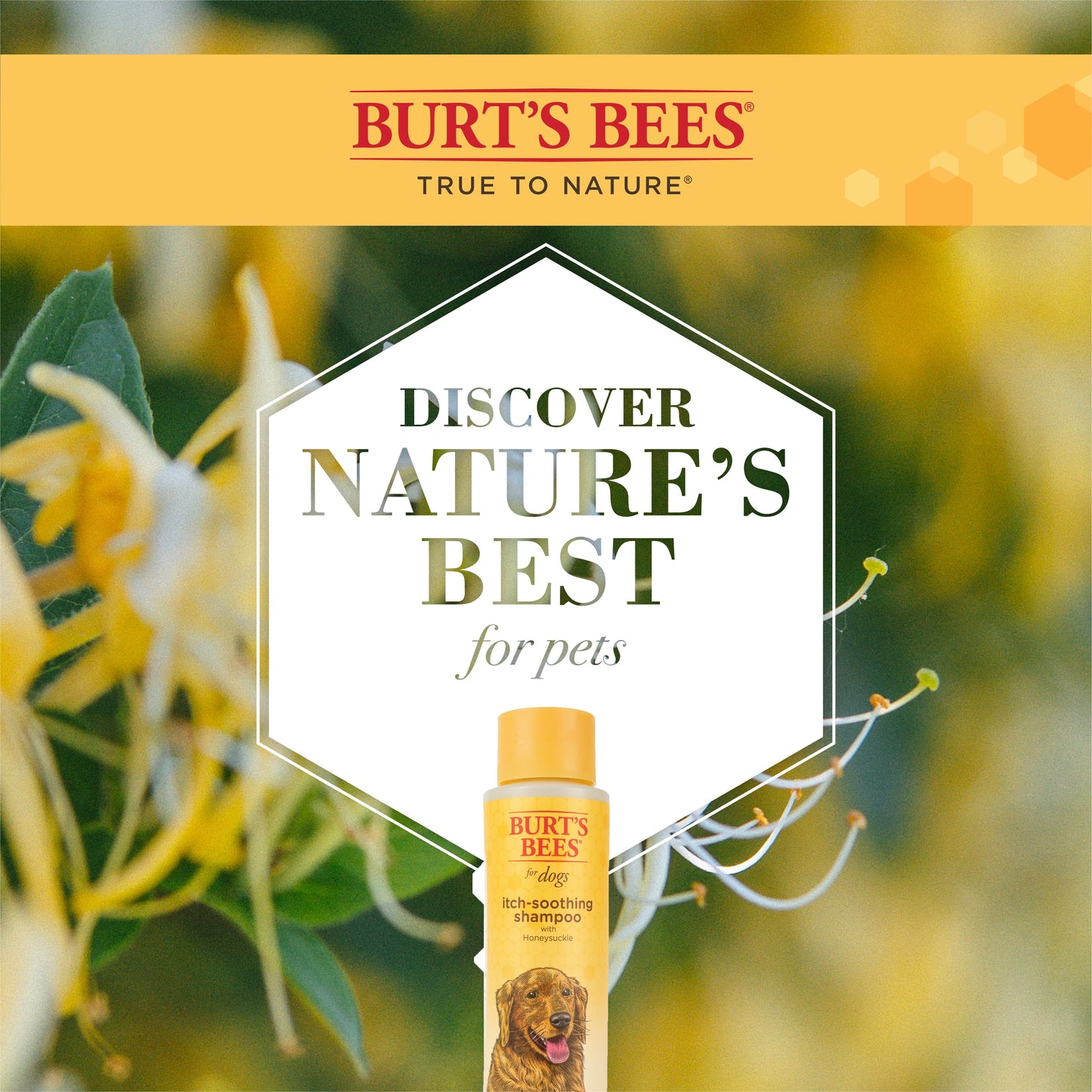 Burt’S Bees Dog Itch Soothing Shampoo, Honeysuckle Scent 16 Ounces