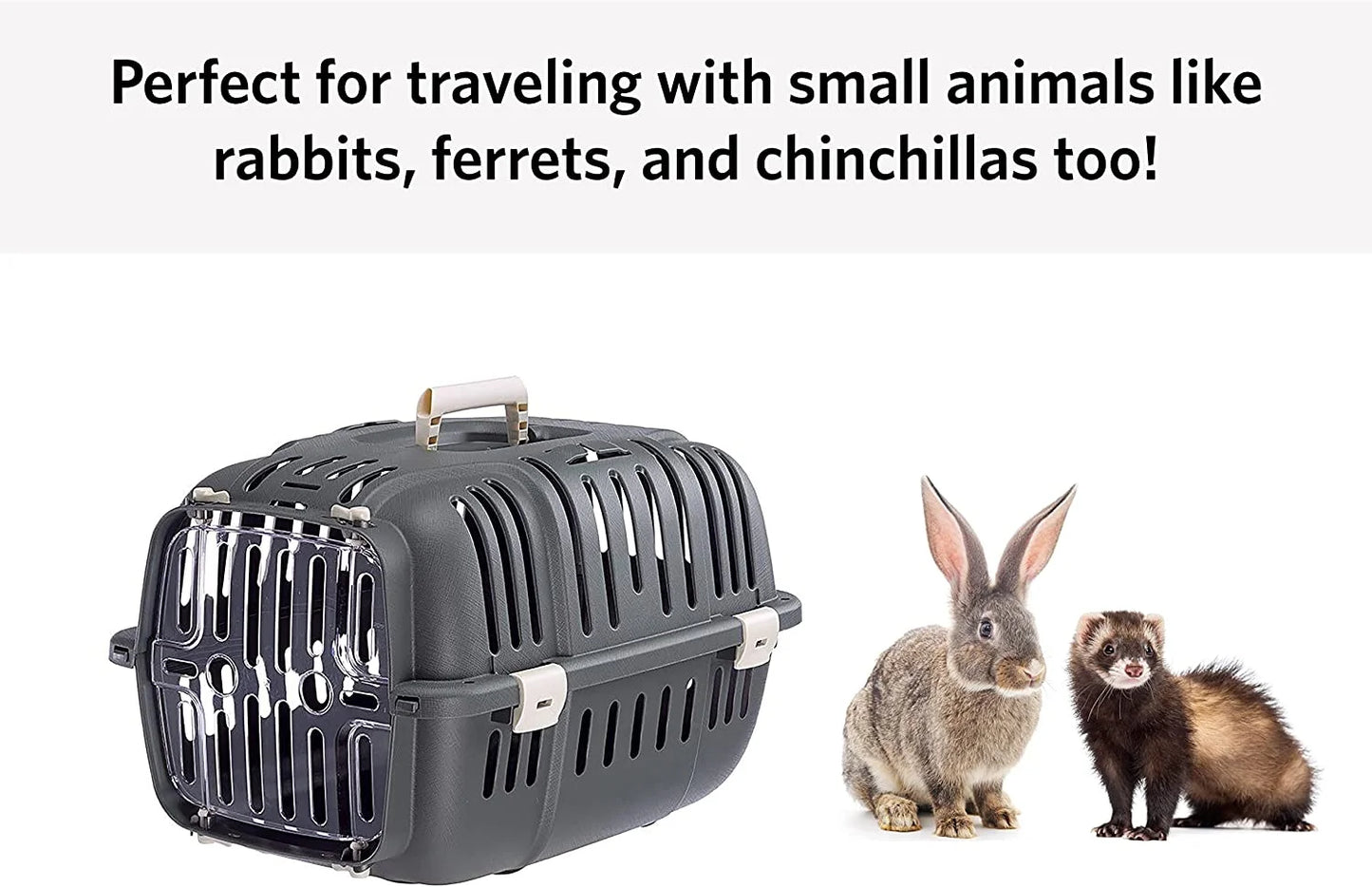 Jet Pet Carrier: Value Dog Carrier Suitable for "XS" Dog Breeds & Small Cats, 22L X 14.5W X 13H Inches, Gray