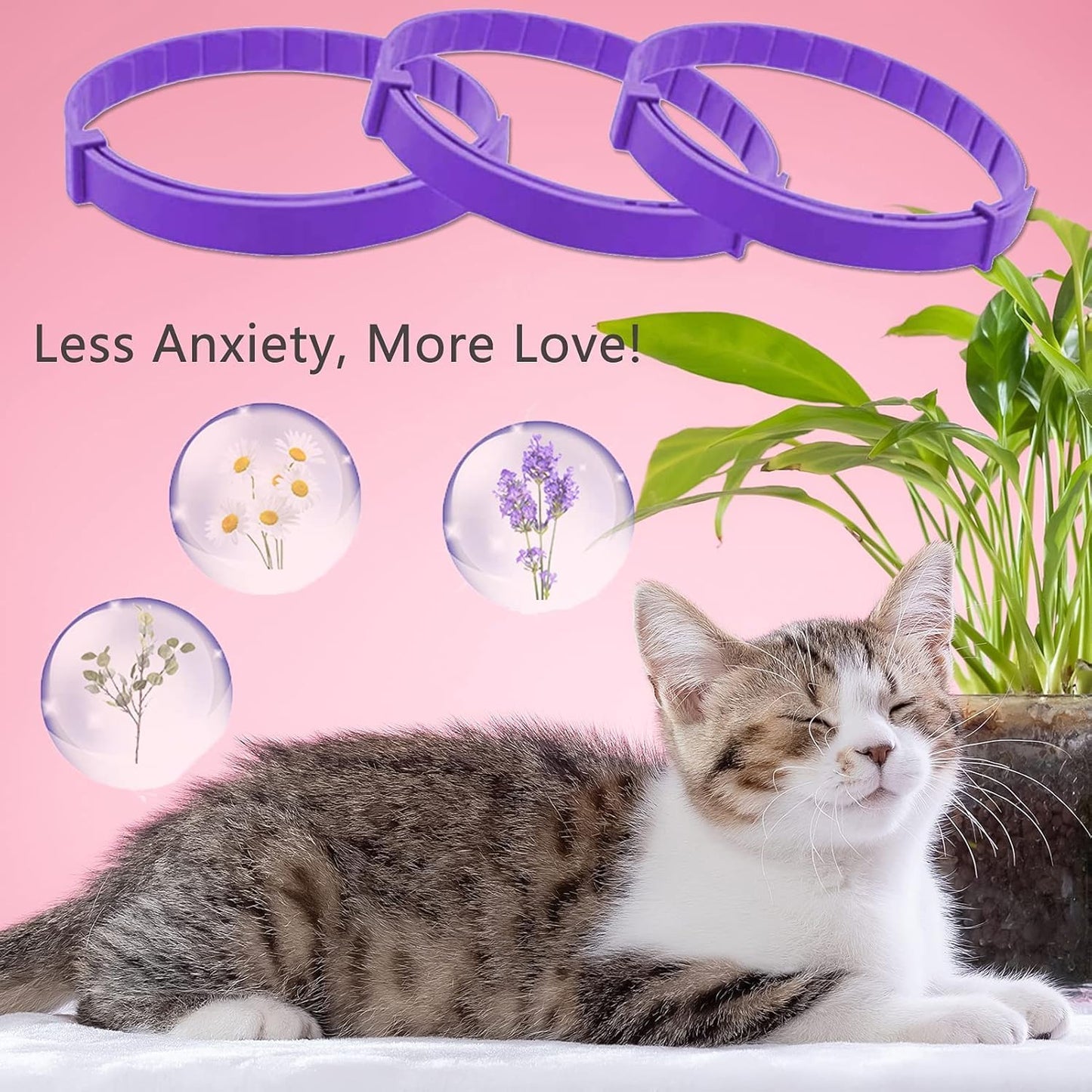 Cat Calming Collars 3 Pack, Pheromone Calming Collar for Cats, Natural, Adjustable, Waterproof Relieve Cat Anxiety Collar, Kitten Pheromone Collars for 60 Days Safe Use (Purple)