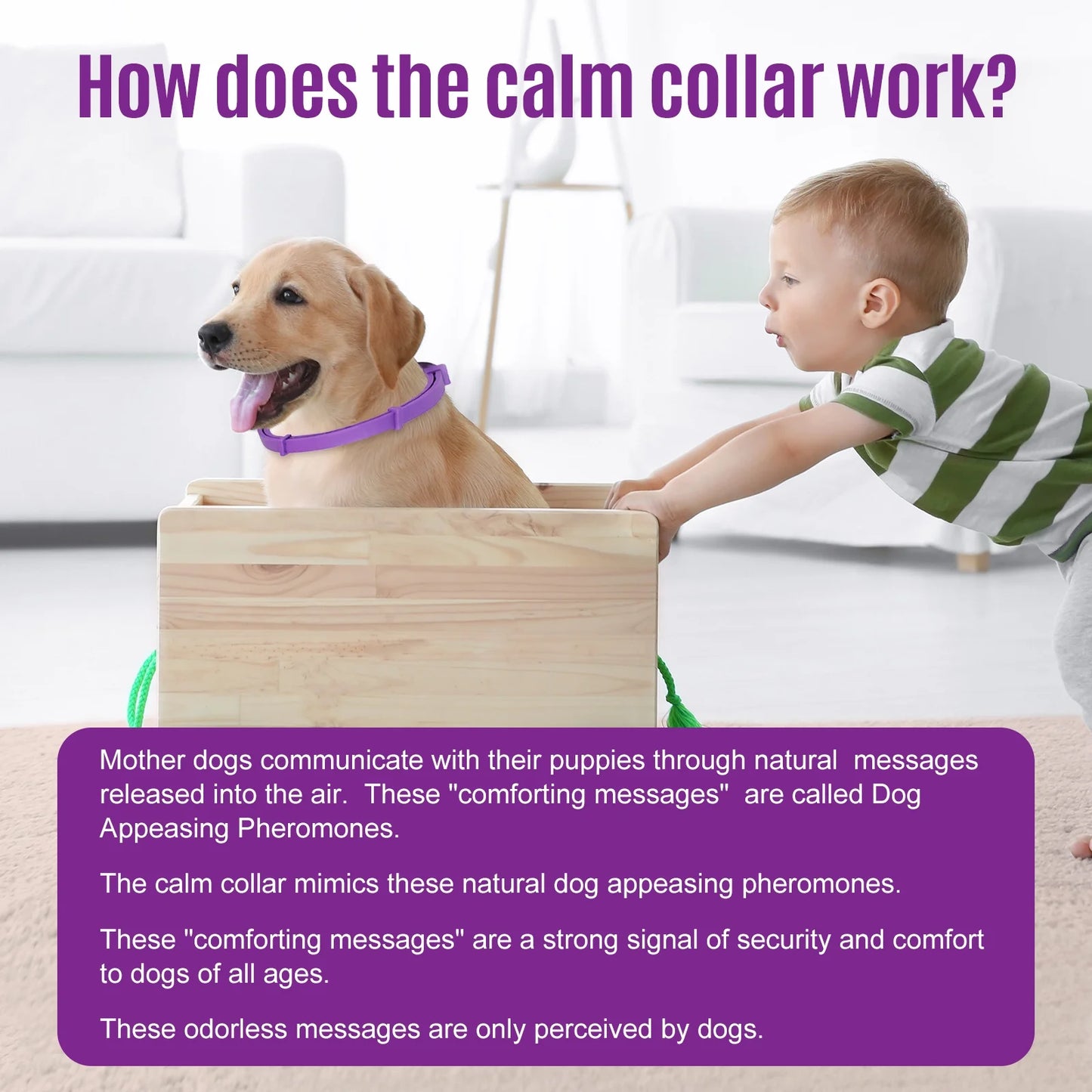 Dog Collar for Calming, Dog Calming Collar Relieve Reduce Anxiety or Stress, 2Pcs 15 Inches and 2Pcs 27.5 Inches Adjustable Calming Collar for Dogs
