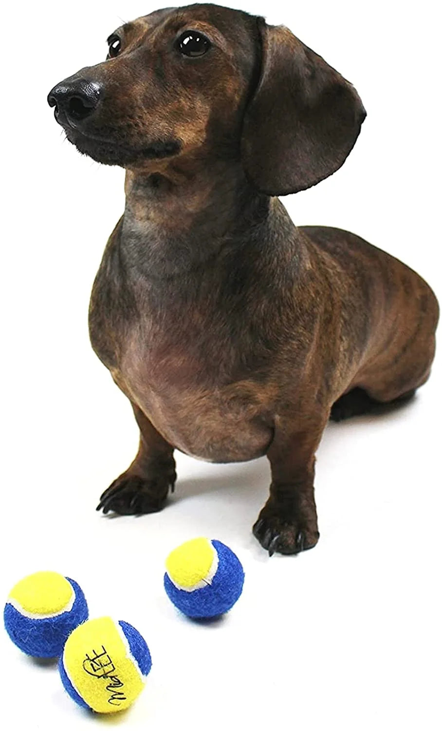 Mini Dog Tennis Balls - Blue/Yellow- Pack of 4